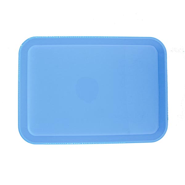 NHE Group | PLASTIC TRAYS BLUE